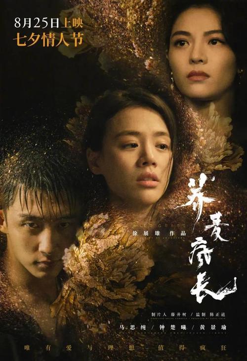 南京视觉艺术职业学院毕业证补办